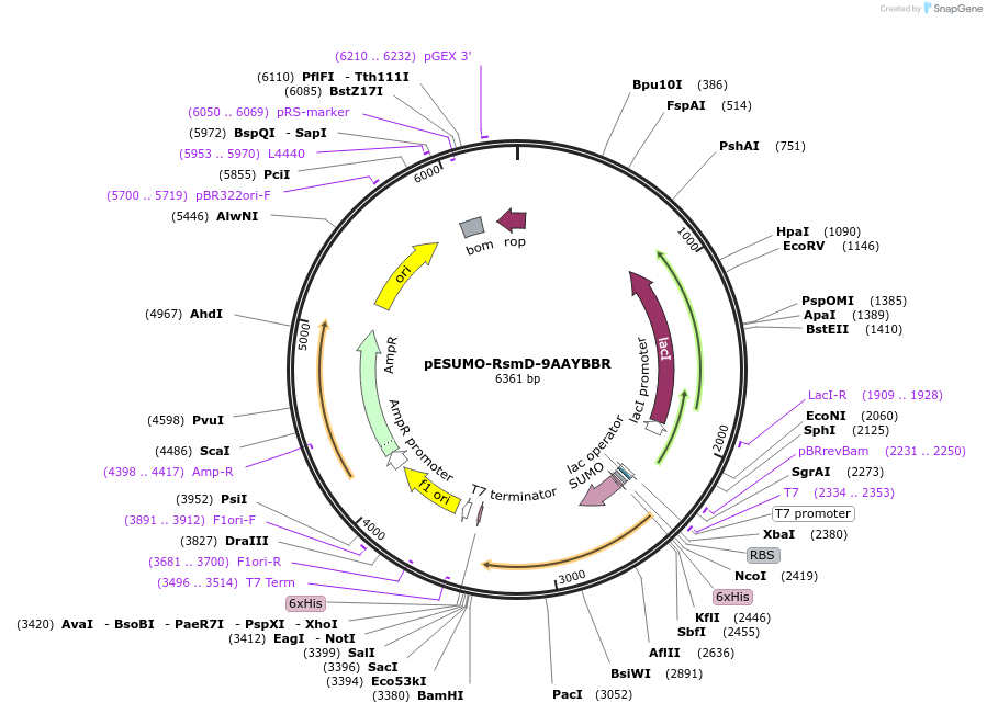 500702_map