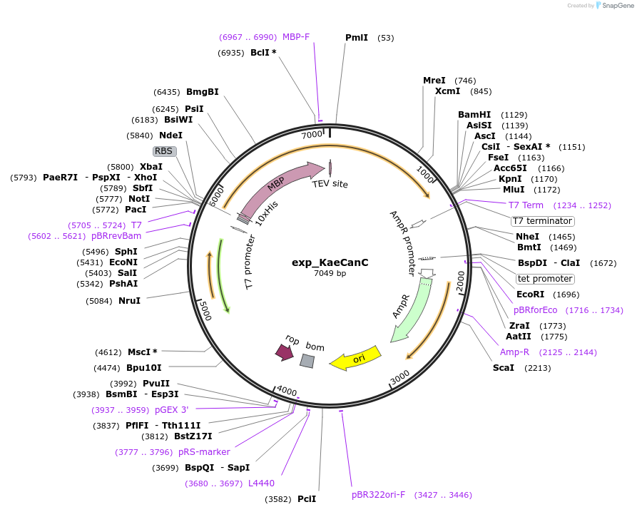 500737_map
