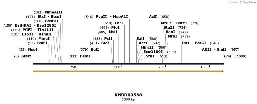 50074_map