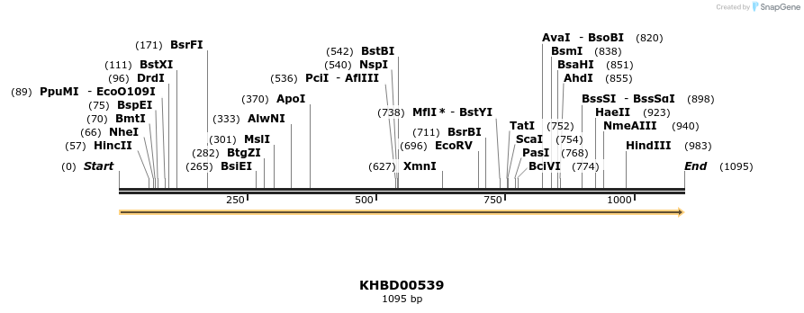 50075_map