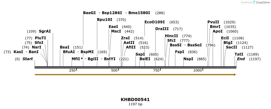 50076_map