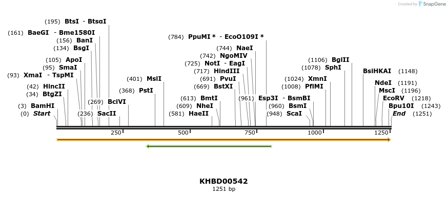 50077_map