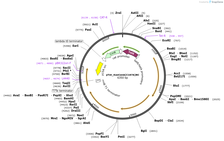 500775_map