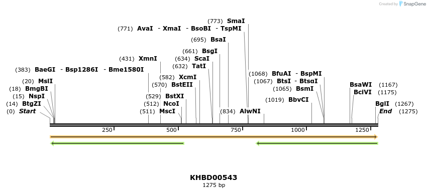 50078_map