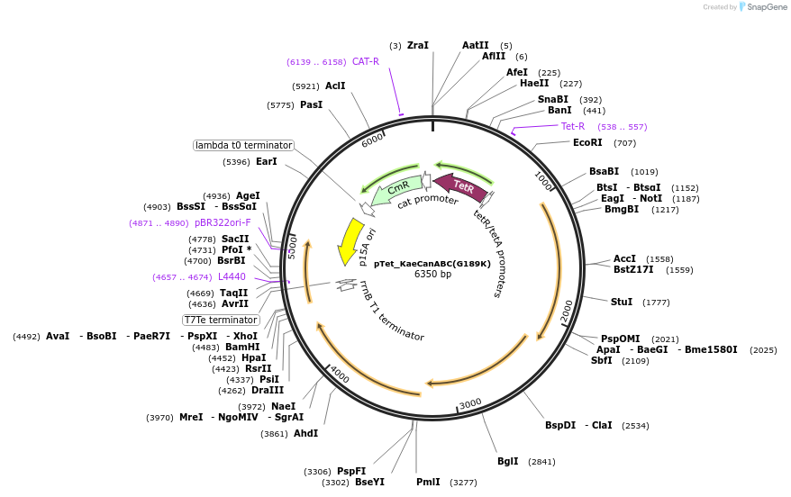 500783_map