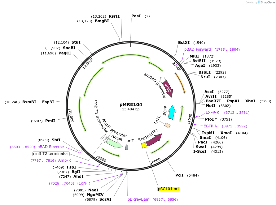 500791_map