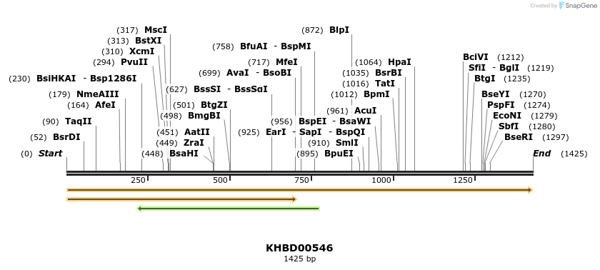 50081_map