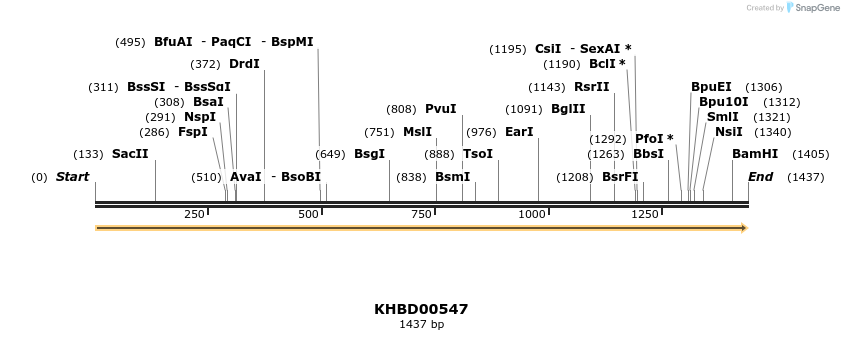 50082_map