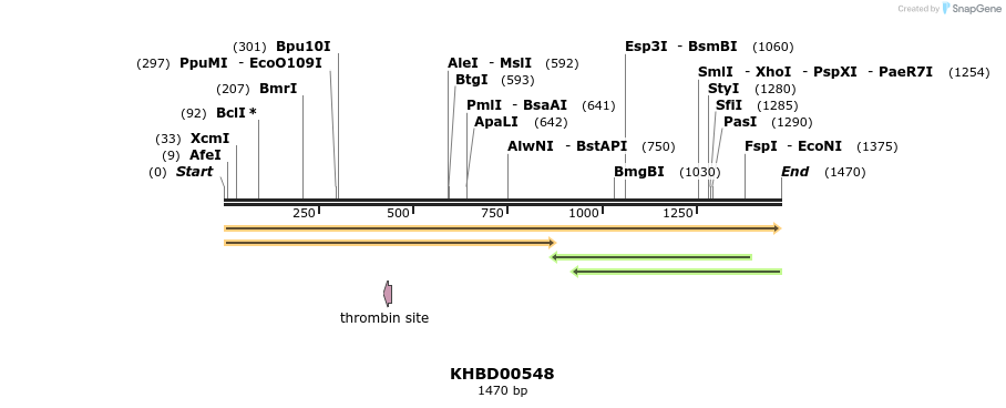 50083_map