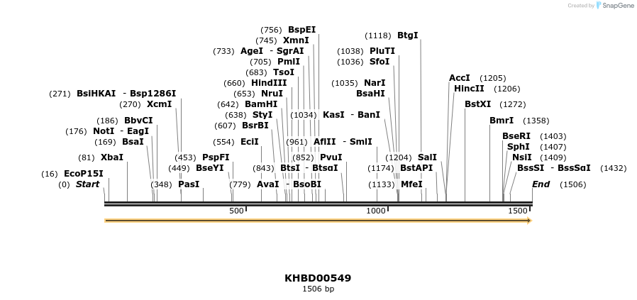 50084_map