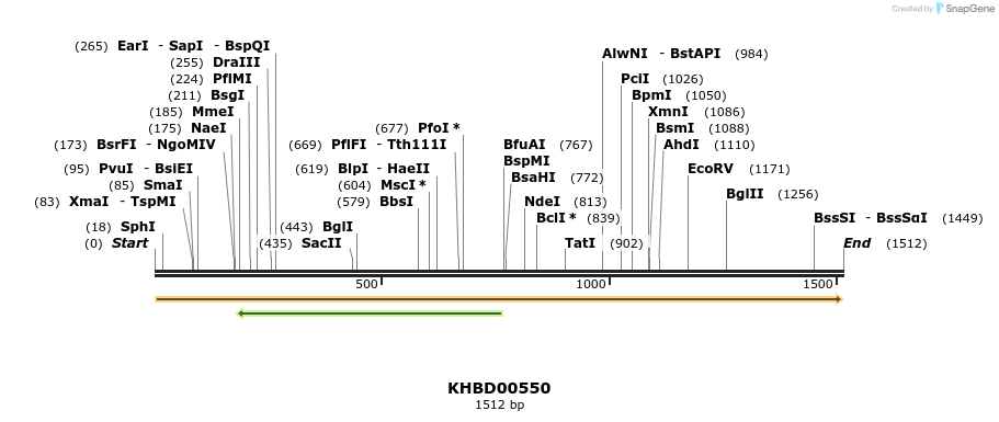 50085_map