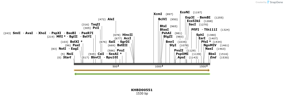 50086_map