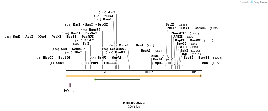 50087_map