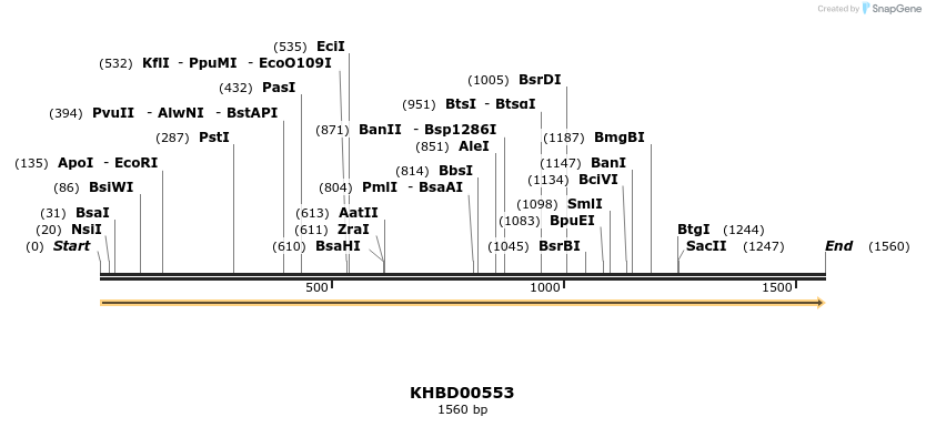 50088_map