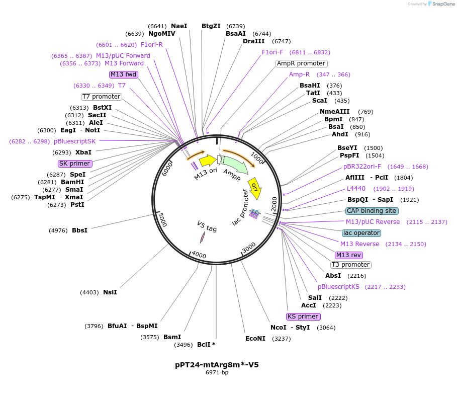 500900_map