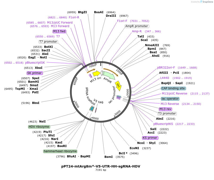 500903_map