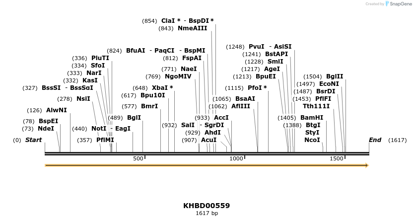 50091_map