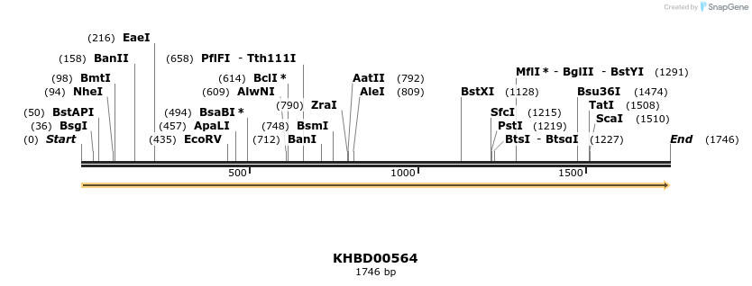 50095_map