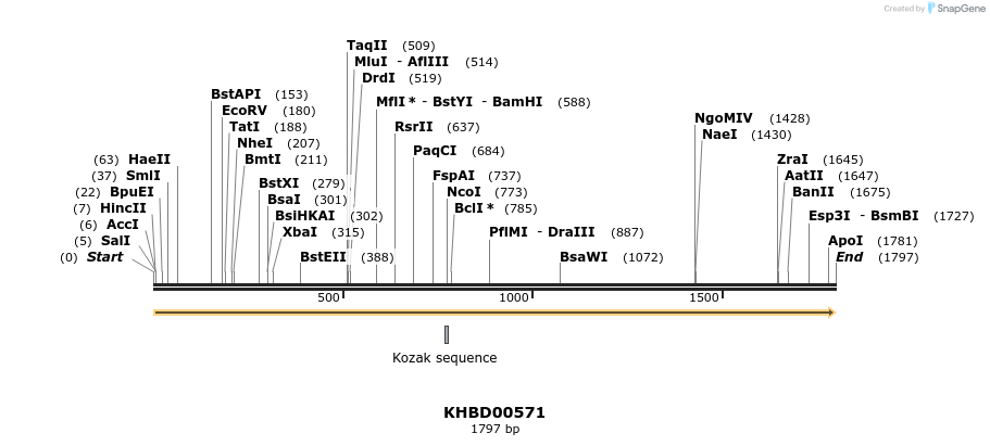 50097_map