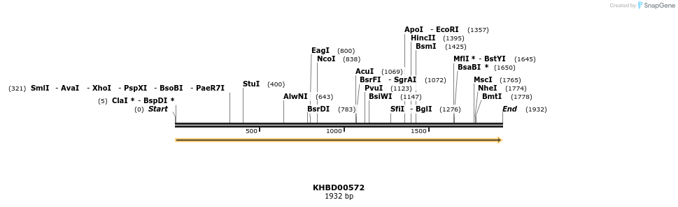 50098_map