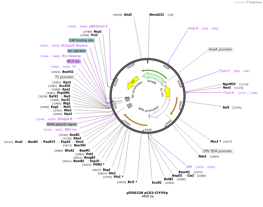 500980_map