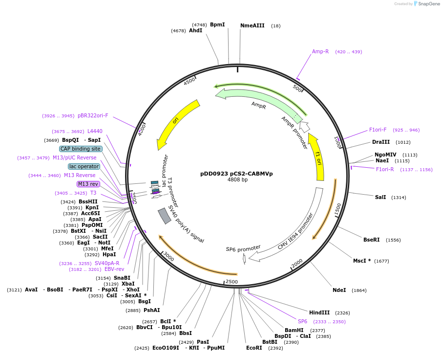 500986_map