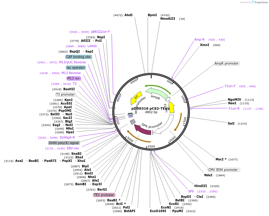 500989_map