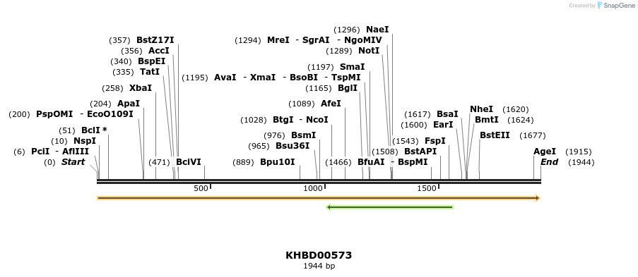 50099_map