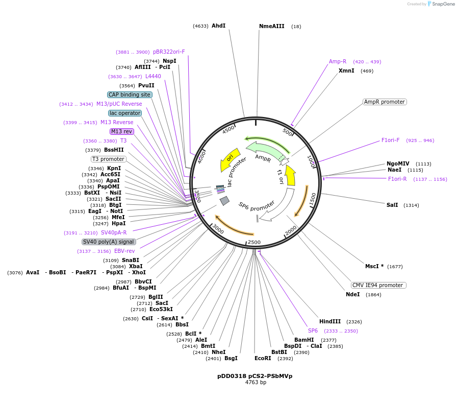 500994_map