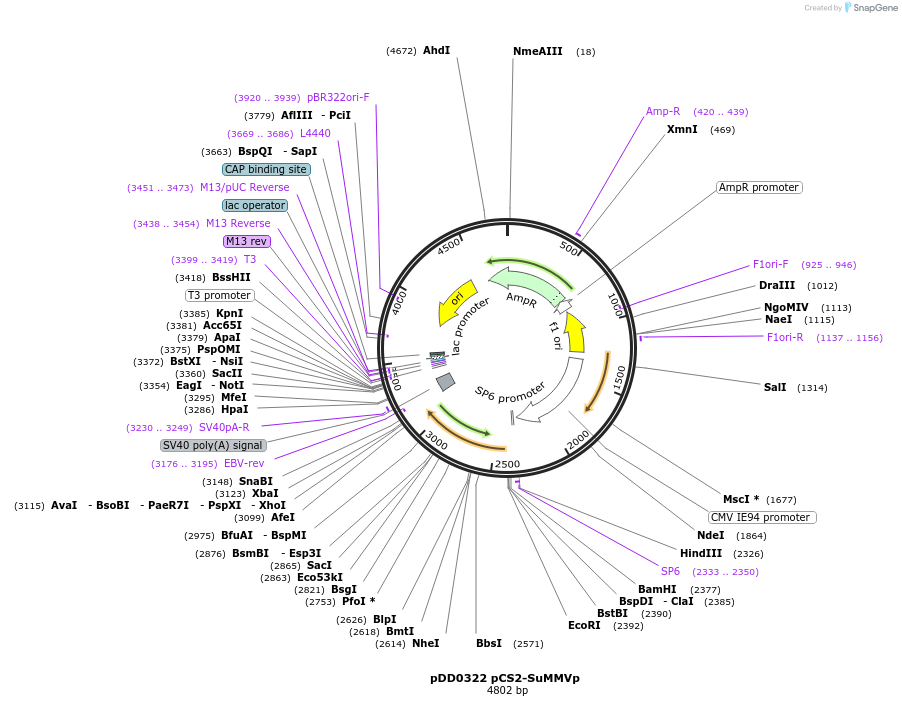 500997_map