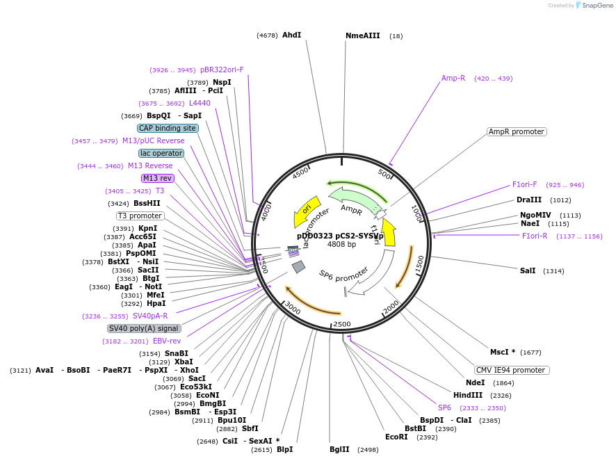 500998_map