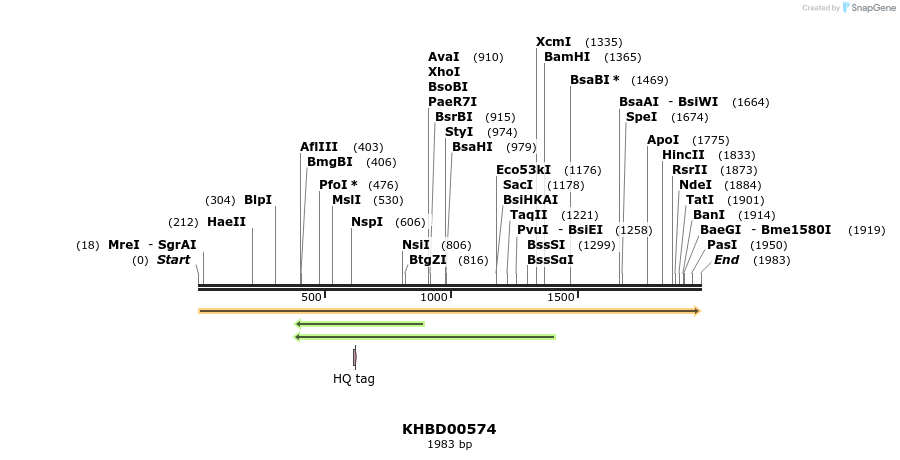 50100_map
