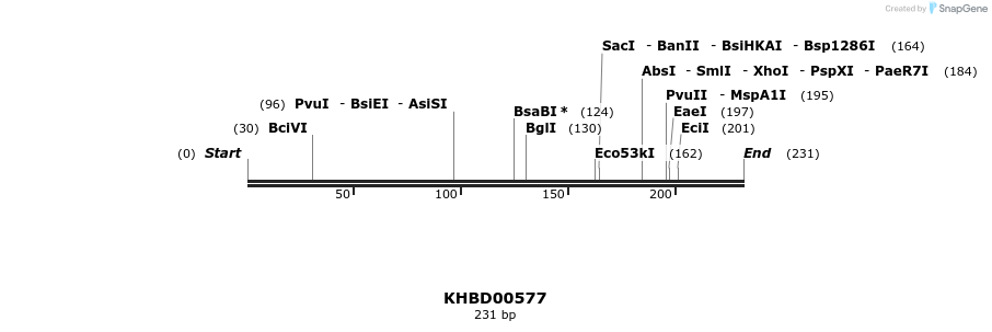 50101_map