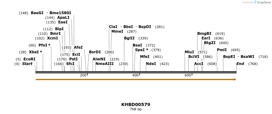 50103_map