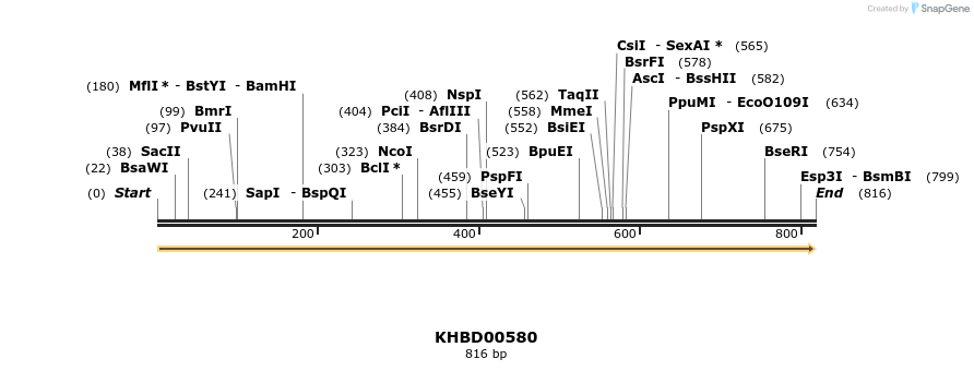 50104_map