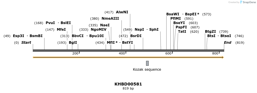 50105_map