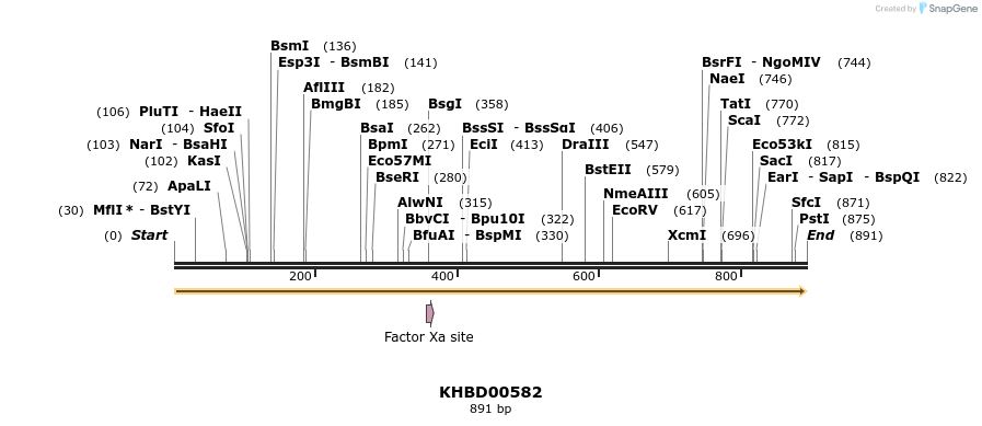 50106_map