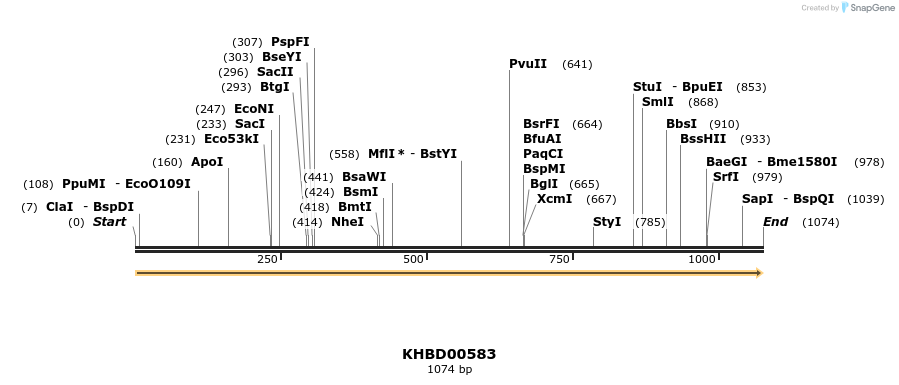 50107_map