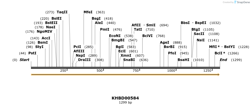 50108_map