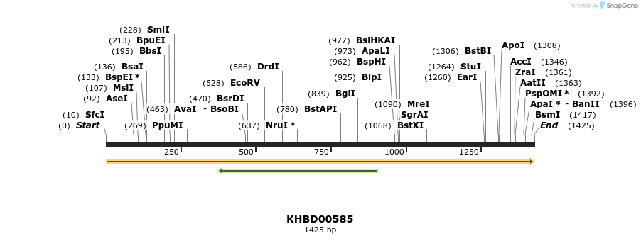 50109_map