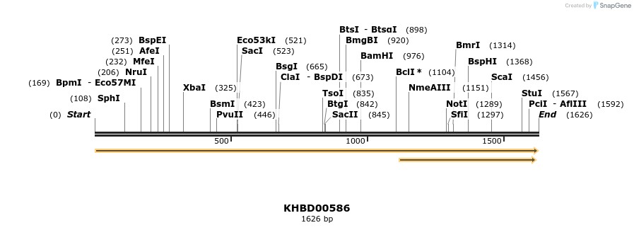 50110_map