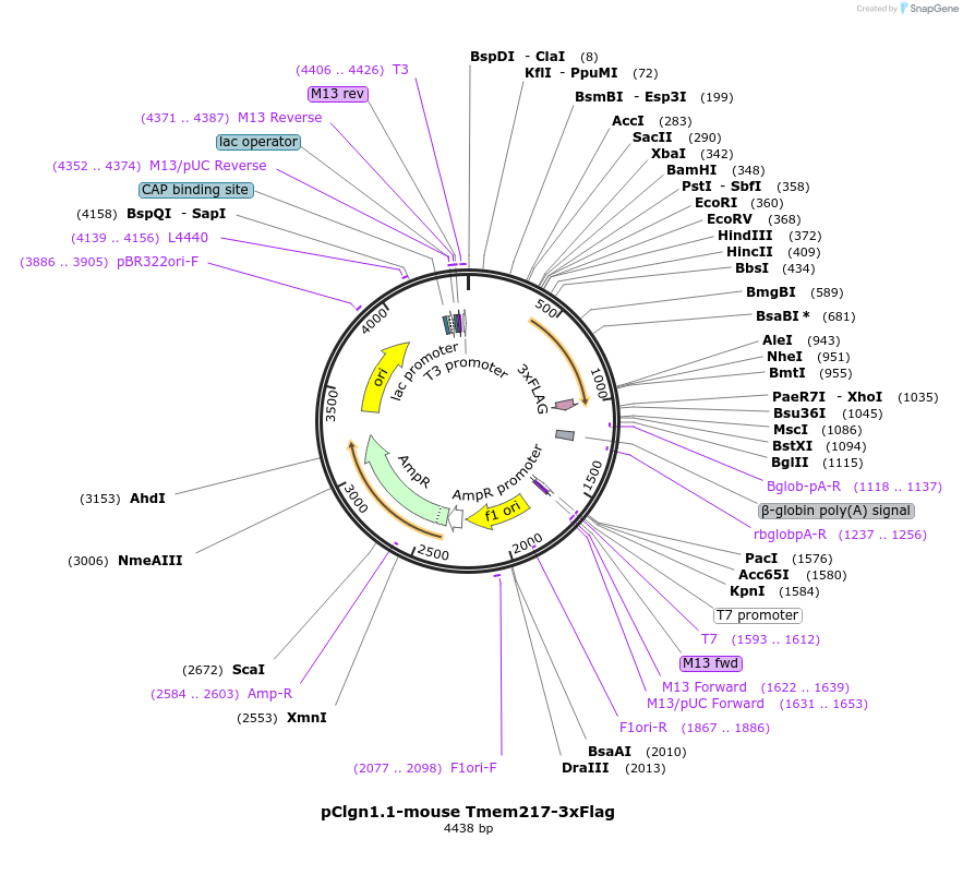501137_map