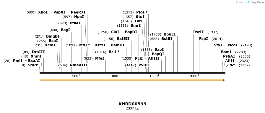 50115_map