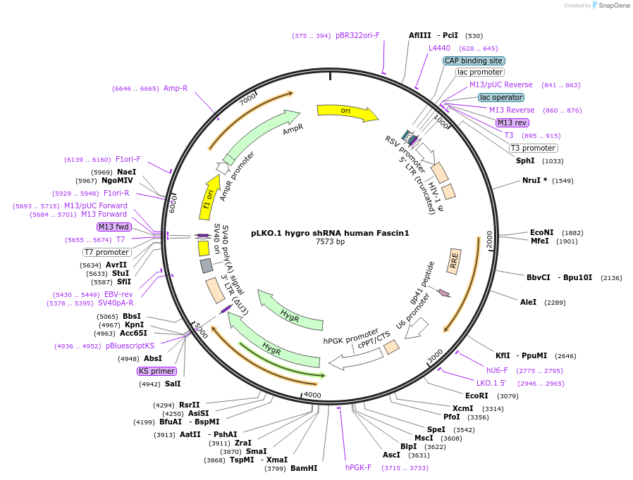 501161_map