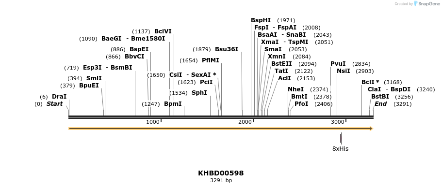 50118_map