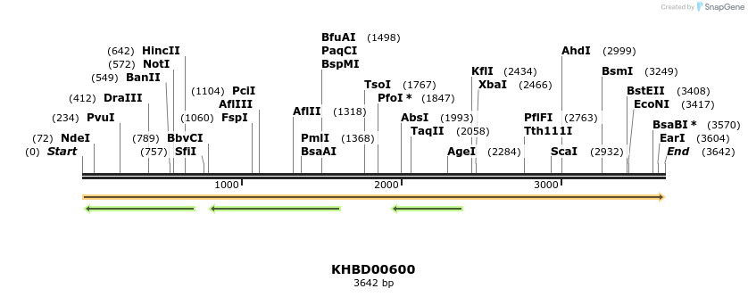 50119_map