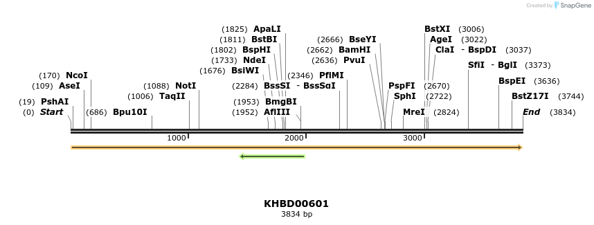 50120_map