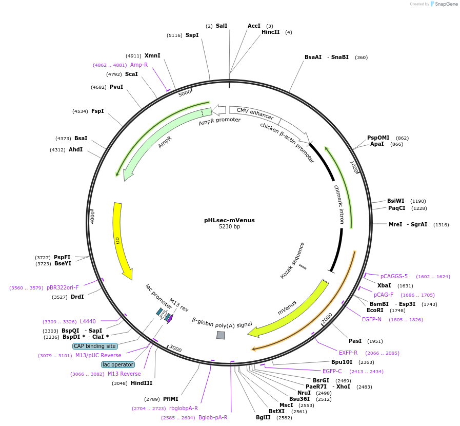 501200_map