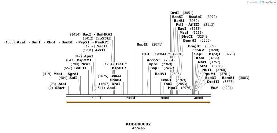 50121_map