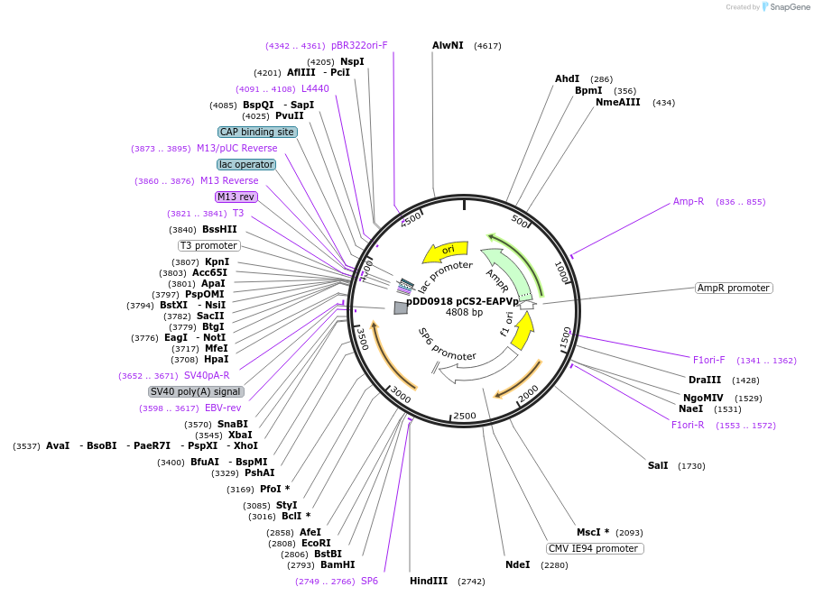 501219_map